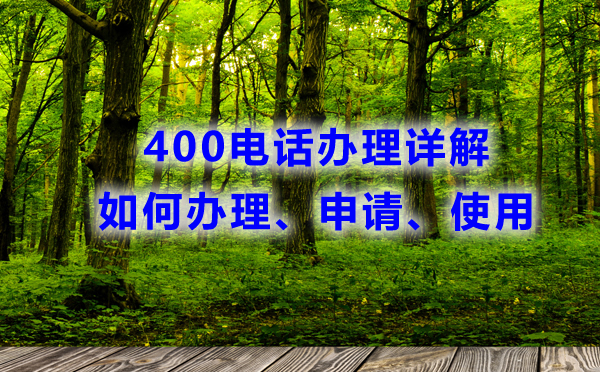 400電話辦理詳解：如何申請(qǐng)、辦理和使用