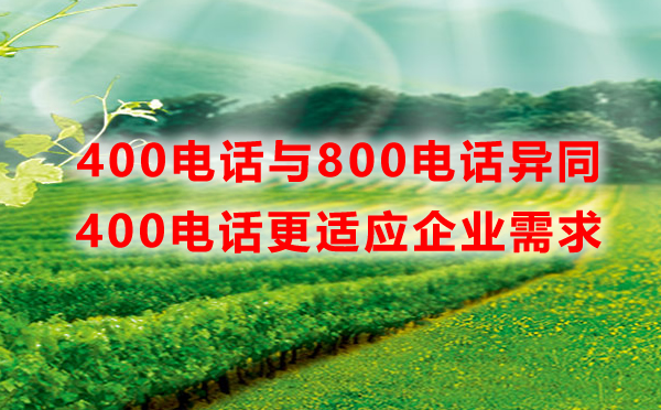 400企業直線與800免費電話的區別？